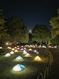 国営昭和記念公園 秋の夜散歩に投稿された画像（2022/11/9）
