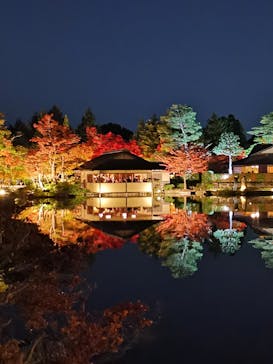 国営昭和記念公園 秋の夜散歩に投稿された画像（2022/11/9）