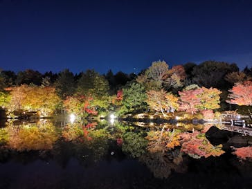 国営昭和記念公園 秋の夜散歩に投稿された画像（2022/11/9）