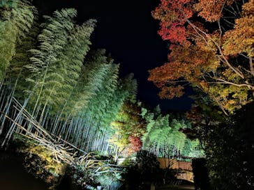 国営昭和記念公園 秋の夜散歩に投稿された画像（2022/11/9）