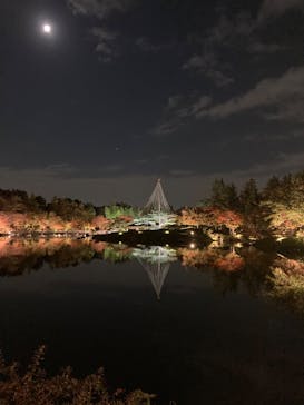 国営昭和記念公園 秋の夜散歩に投稿された画像（2022/11/9）