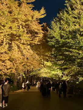 国営昭和記念公園 秋の夜散歩に投稿された画像（2022/11/9）