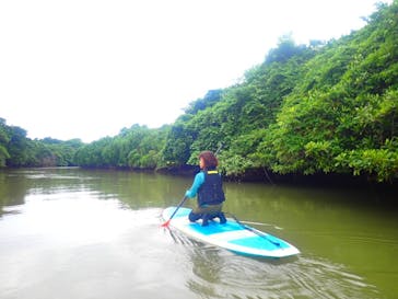 石垣島 ADVENTURE PiPi（イシガキジマアドベンチャーピピ）に投稿された画像（2022/11/9）