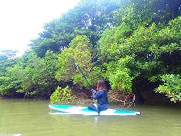 石垣島 ADVENTURE PiPi（イシガキジマアドベンチャーピピ）に投稿された画像（2022/11/9）