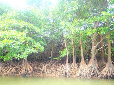 石垣島 ADVENTURE PiPi（イシガキジマアドベンチャーピピ）に投稿された画像（2022/11/9）