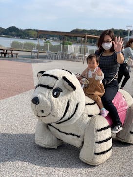 浜名湖パルパルに投稿された画像（2022/11/9）