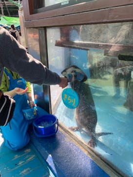 ゼロ距離水族館 伊勢シーパラダイスに投稿された画像（2022/11/9）