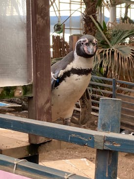 ゼロ距離水族館 伊勢シーパラダイスに投稿された画像（2022/11/9）
