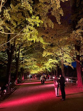 国営昭和記念公園 秋の夜散歩に投稿された画像（2022/11/9）