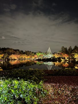 国営昭和記念公園 秋の夜散歩に投稿された画像（2022/11/9）