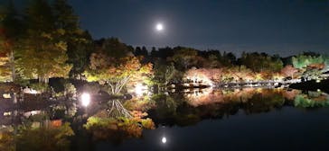 国営昭和記念公園 秋の夜散歩に投稿された画像（2022/11/9）