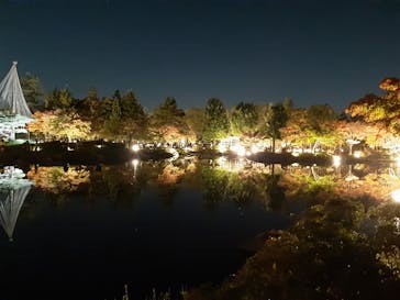 国営昭和記念公園 秋の夜散歩に投稿された画像（2022/11/9）