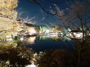 国営昭和記念公園 秋の夜散歩に投稿された画像（2022/11/9）
