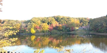 ムーミンバレーパークに投稿された画像（2022/11/9）