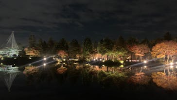 国営昭和記念公園 秋の夜散歩に投稿された画像（2022/11/9）