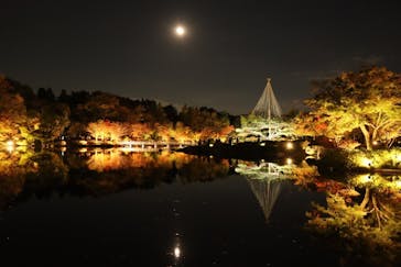 国営昭和記念公園 秋の夜散歩に投稿された画像（2022/11/10）