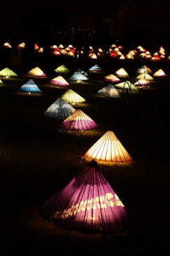 国営昭和記念公園 秋の夜散歩に投稿された画像（2022/11/10）