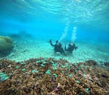 marine assist DEMI（マリンアシストデミ）に投稿された画像（2022/11/10）