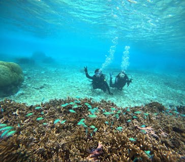 marine assist DEMI（マリンアシストデミ）に投稿された画像（2022/11/10）