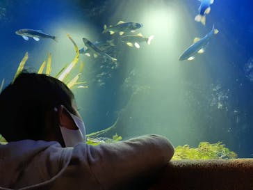 サンシャイン水族館に投稿された画像（2022/11/10）