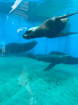横浜・八景島シーパラダイスに投稿された画像（2022/11/10）