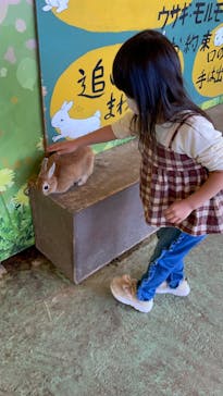 那須サファリパークに投稿された画像（2022/11/10）