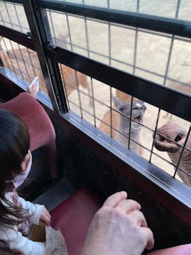 那須サファリパークに投稿された画像（2022/11/10）