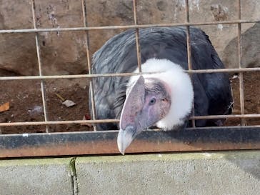 那須どうぶつ王国に投稿された画像（2022/11/10）