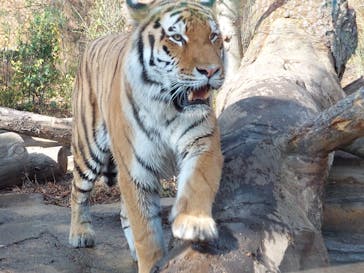 那須どうぶつ王国に投稿された画像（2022/11/10）