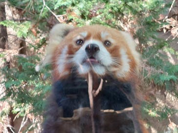 那須どうぶつ王国に投稿された画像（2022/11/10）