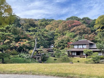 三溪園に投稿された画像（2022/11/10）