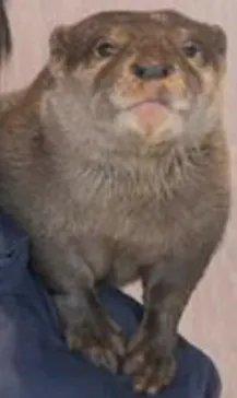 横浜・八景島シーパラダイスに投稿された画像（2022/11/10）