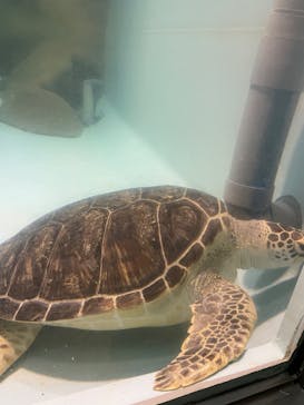 マリンワールド海の中道に投稿された画像（2022/11/10）