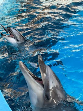 マリンワールド海の中道に投稿された画像（2022/11/10）