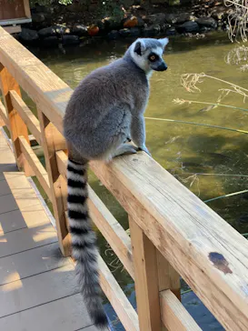 神戸どうぶつ王国に投稿された画像（2022/11/10）