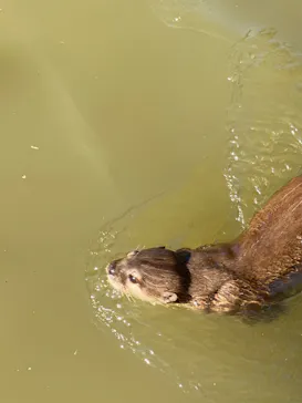 神戸どうぶつ王国に投稿された画像（2022/11/10）