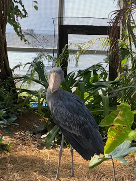 神戸どうぶつ王国に投稿された画像（2022/11/10）