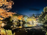 国営昭和記念公園 秋の夜散歩に投稿された画像（2022/11/10）
