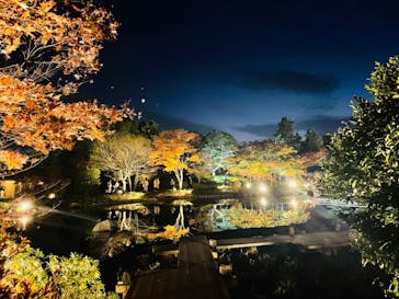 国営昭和記念公園 秋の夜散歩に投稿された画像（2022/11/10）