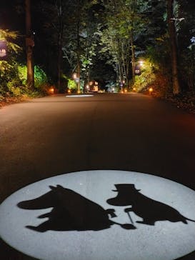 ムーミンバレーパークに投稿された画像（2022/11/10）