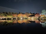 国営昭和記念公園 秋の夜散歩に投稿された画像（2022/11/10）