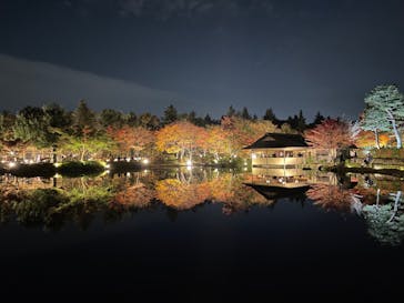 国営昭和記念公園 秋の夜散歩に投稿された画像（2022/11/10）