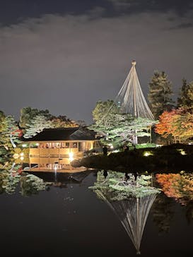 国営昭和記念公園 秋の夜散歩に投稿された画像（2022/11/10）