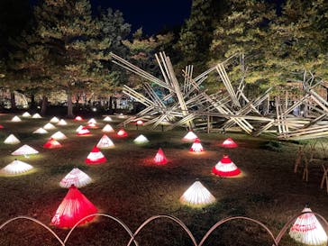 国営昭和記念公園 秋の夜散歩に投稿された画像（2022/11/10）