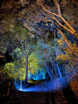 ムーミンバレーパークに投稿された画像（2022/11/10）