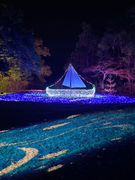 ムーミンバレーパークに投稿された画像（2022/11/10）