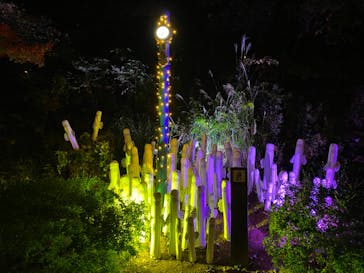 ムーミンバレーパークに投稿された画像（2022/11/10）