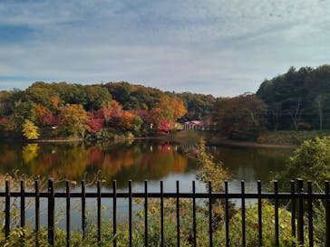 ムーミンバレーパークに投稿された画像（2022/11/10）