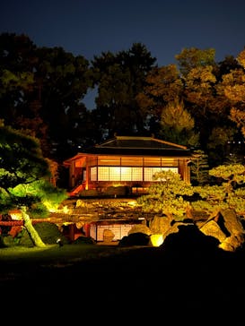 NAKED FLOWERS 2022 秋 世界遺産・二条城に投稿された画像（2022/11/10）