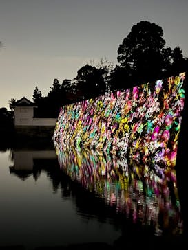 NAKED FLOWERS 2022 秋 世界遺産・二条城に投稿された画像（2022/11/10）